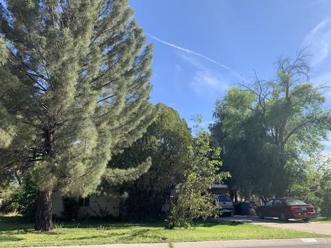 4027 E Lewis Ave, Phoenix, AZ 85008 photo 2