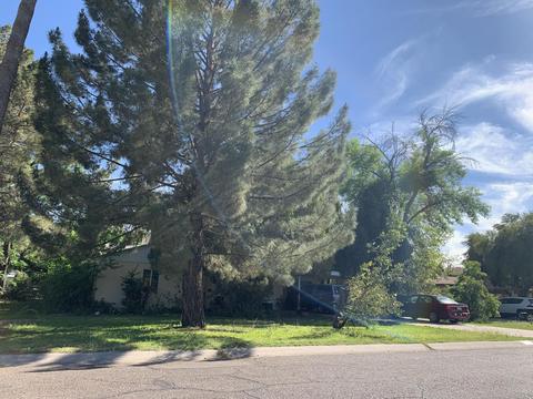 4027 E Lewis Ave, Phoenix, AZ 85008 photo 1
