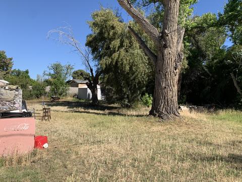 4027 E Lewis Ave, Phoenix, AZ 85008 photo 16