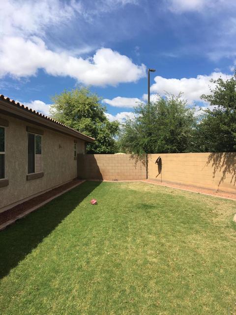 1125 E Blue Spruce Ln, Gilbert, AZ 85298 photo 61
