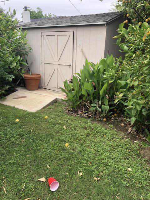 4708 E Windsor Ave, Phoenix, AZ 85008 photo 19