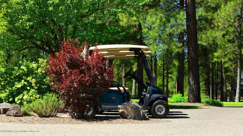 2738 Fred Breen --, Flagstaff, AZ 86005 photo 61