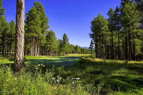 2738 Fred Breen --, Flagstaff, AZ 86005 photo 85