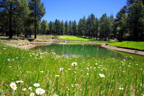 2738 Fred Breen --, Flagstaff, AZ 86005 photo 73