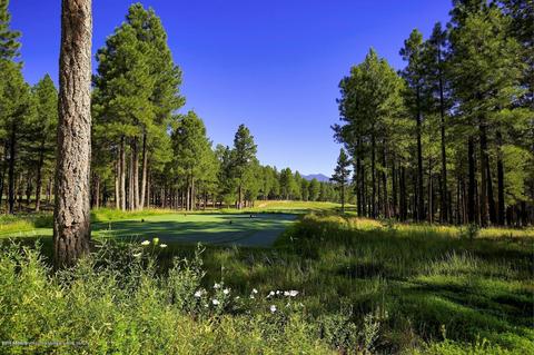 2738 Fred Breen --, Flagstaff, AZ 86005 photo 74