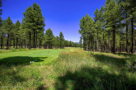 2738 Fred Breen --, Flagstaff, AZ 86005 photo 59