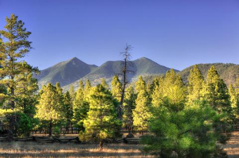 2738 Fred Breen --, Flagstaff, AZ 86005 photo 62