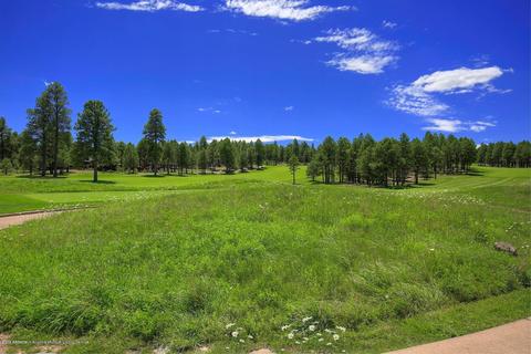 2738 Fred Breen --, Flagstaff, AZ 86005 photo 58
