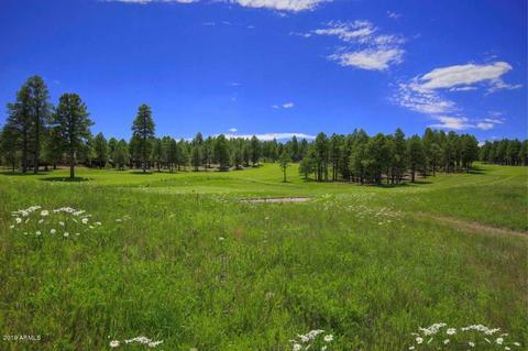 2738 Fred Breen --, Flagstaff, AZ 86005 photo 88