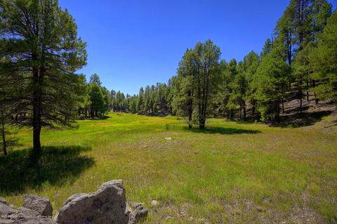 2738 Fred Breen --, Flagstaff, AZ 86005 photo 69