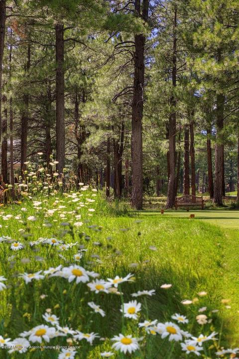2738 Fred Breen --, Flagstaff, AZ 86005 photo 65