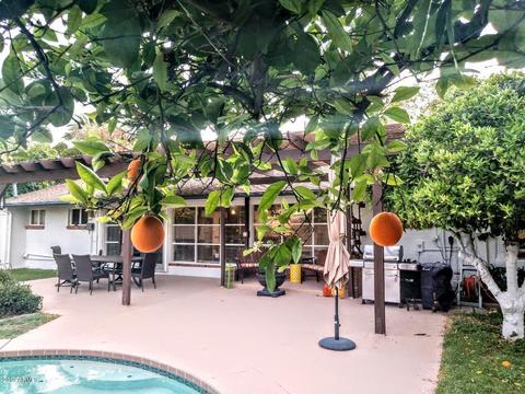 6115 N 13th Pl, Phoenix, AZ 85014 photo 28