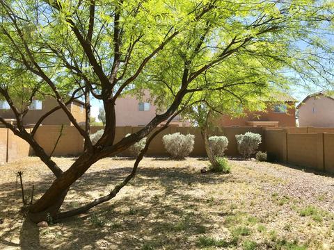 4655 W Juniper Ave, Coolidge, AZ 85128 photo 6