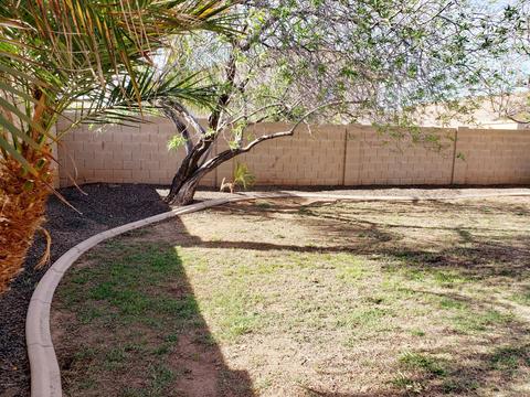 11327 E Shepperd Ave, Mesa, AZ 85212 photo 45