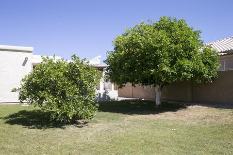 7935 E Desert Trl, Mesa, AZ 85208 photo 40