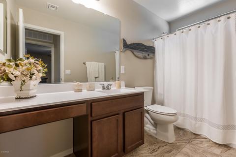 906 S Pheasant Dr, Gilbert, AZ 85296 photo 20