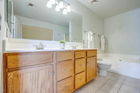 1217 E Milada Dr, Phoenix, AZ 85042 photo 57