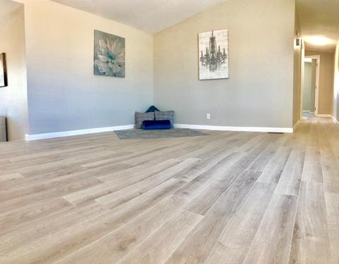 1016 S Vista Rd, Apache Junction, AZ 85119 photo 10