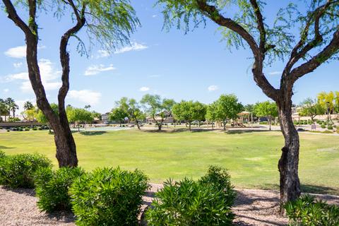 7450 E Nido Ave, Mesa, AZ 85209 photo 43