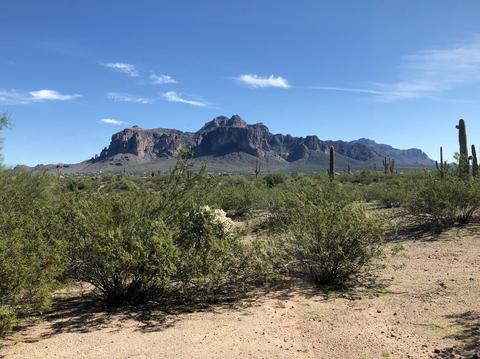 2228 N Goldfield Rd, Apache Junction, AZ 85119 photo 5