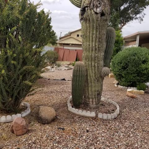 8928 E Chaviot Ave, Mesa, AZ 85208 photo 14