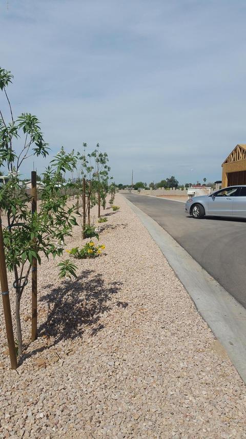 6929 E Boise St, Mesa, AZ 85207 photo 18