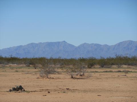 499 W Th W Us 60 Sr 71 Ave #-, Aguila, AZ 85320