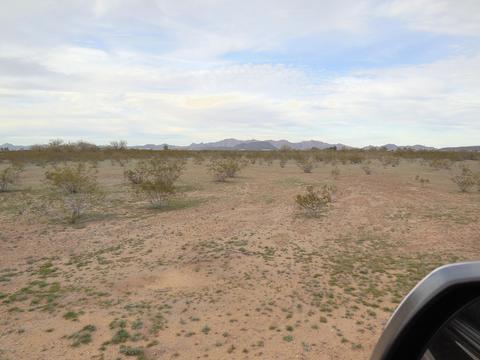 377 W Th W Bethany Home Rd #-, Tonopah, AZ 85354