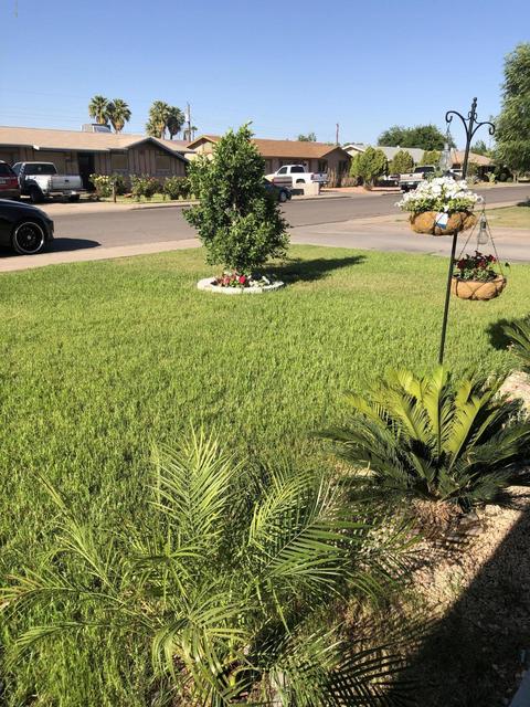 833 E Dolphin Ave, Mesa, AZ 85204 photo 2