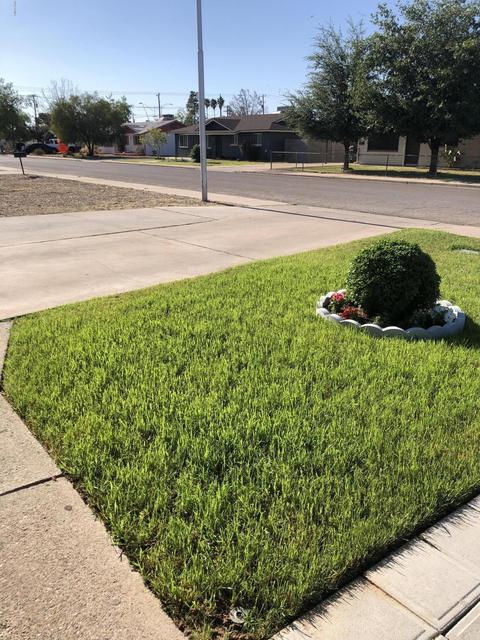 833 E Dolphin Ave, Mesa, AZ 85204 photo 3