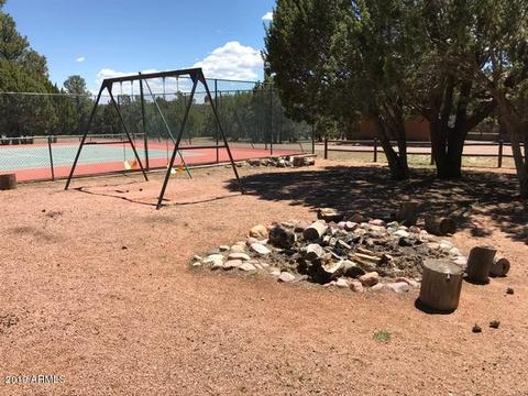 2793 Constellation Ln, Overgaard, AZ 85933 photo 43