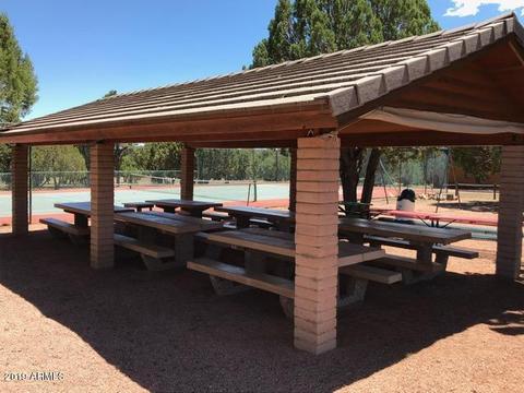 2793 Constellation Ln, Overgaard, AZ 85933 photo 42