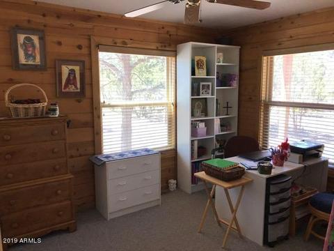 2793 Constellation Ln, Overgaard, AZ 85933 photo 37