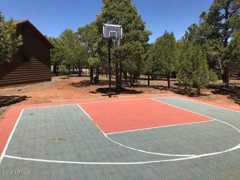 2793 Constellation Ln, Overgaard, AZ 85933 photo 45