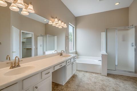 10502 E Pantera Ave, Mesa, AZ 85212 photo 13