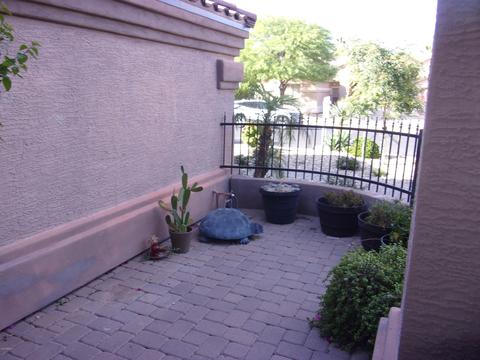 641 W Johnson Dr, Gilbert, AZ 85233 photo 6