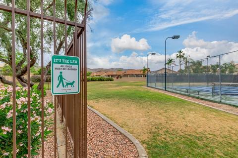 2729 E Mountain Sky Ave, Phoenix, AZ 85048 photo 53