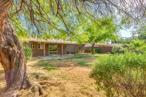 3758 E Gelding Dr, Phoenix, AZ 85032 photo 27