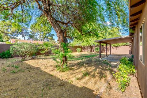 3758 E Gelding Dr, Phoenix, AZ 85032 photo 29