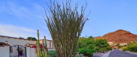 2204 E Glenn Dr, Phoenix, AZ 85020 photo 56
