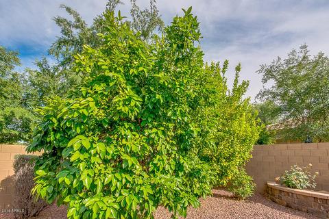 3159 E Killarney St, Gilbert, AZ 85298 photo 38