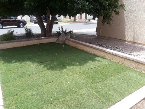 3134 E Mckellips Rd #44, Mesa, AZ 85213 photo 6
