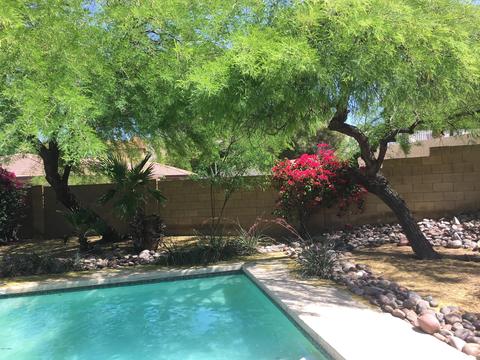 2233 E Nicolet Ave, Phoenix, AZ 85020 photo 28