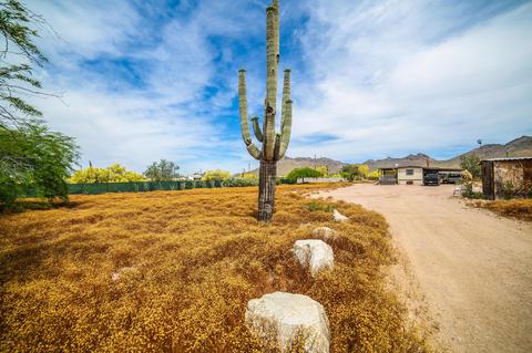 2586 W Whiteley St, Apache Junction, AZ 85120 photo 1
