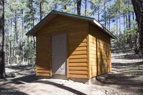 278 E Ring Tail Way, Payson, AZ 85541 photo 34