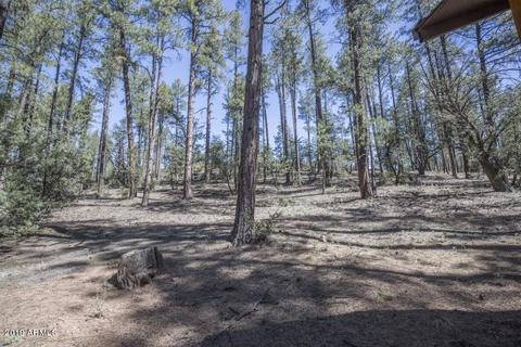 278 E Ring Tail Way, Payson, AZ 85541 photo 38