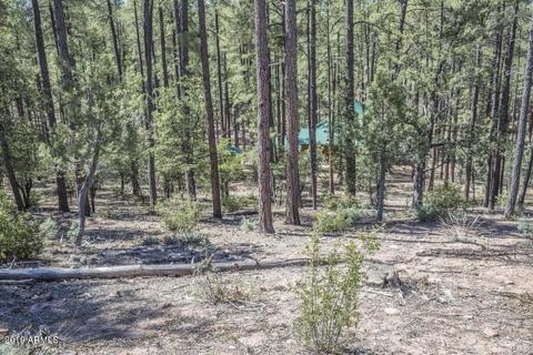 278 E Ring Tail Way, Payson, AZ 85541 photo 36