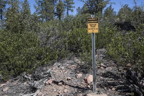 278 E Ring Tail Way, Payson, AZ 85541 photo 37