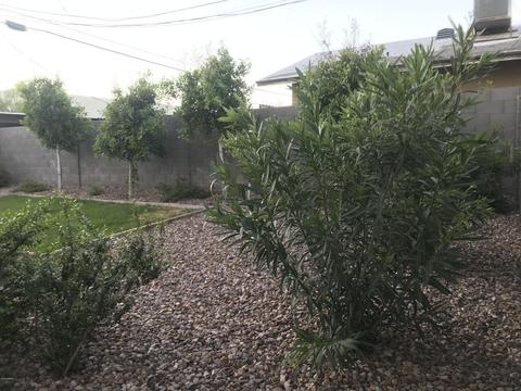 3630 Earll Dr, Phoenix, AZ 85018 photo 29