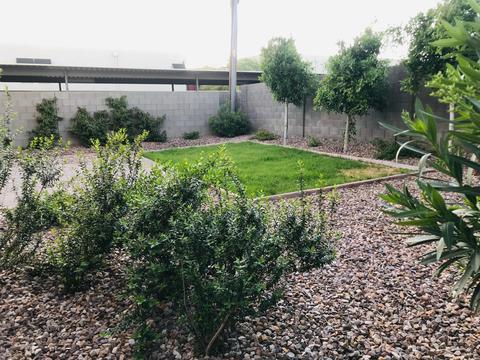3630 Earll Dr, Phoenix, AZ 85018 photo 37